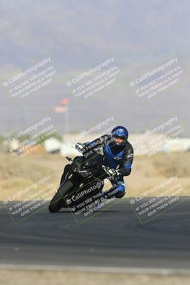 media/May-13-2023-SoCal Trackdays (Sat) [[8a473a8fd1]]/Turn 4 (820am)/